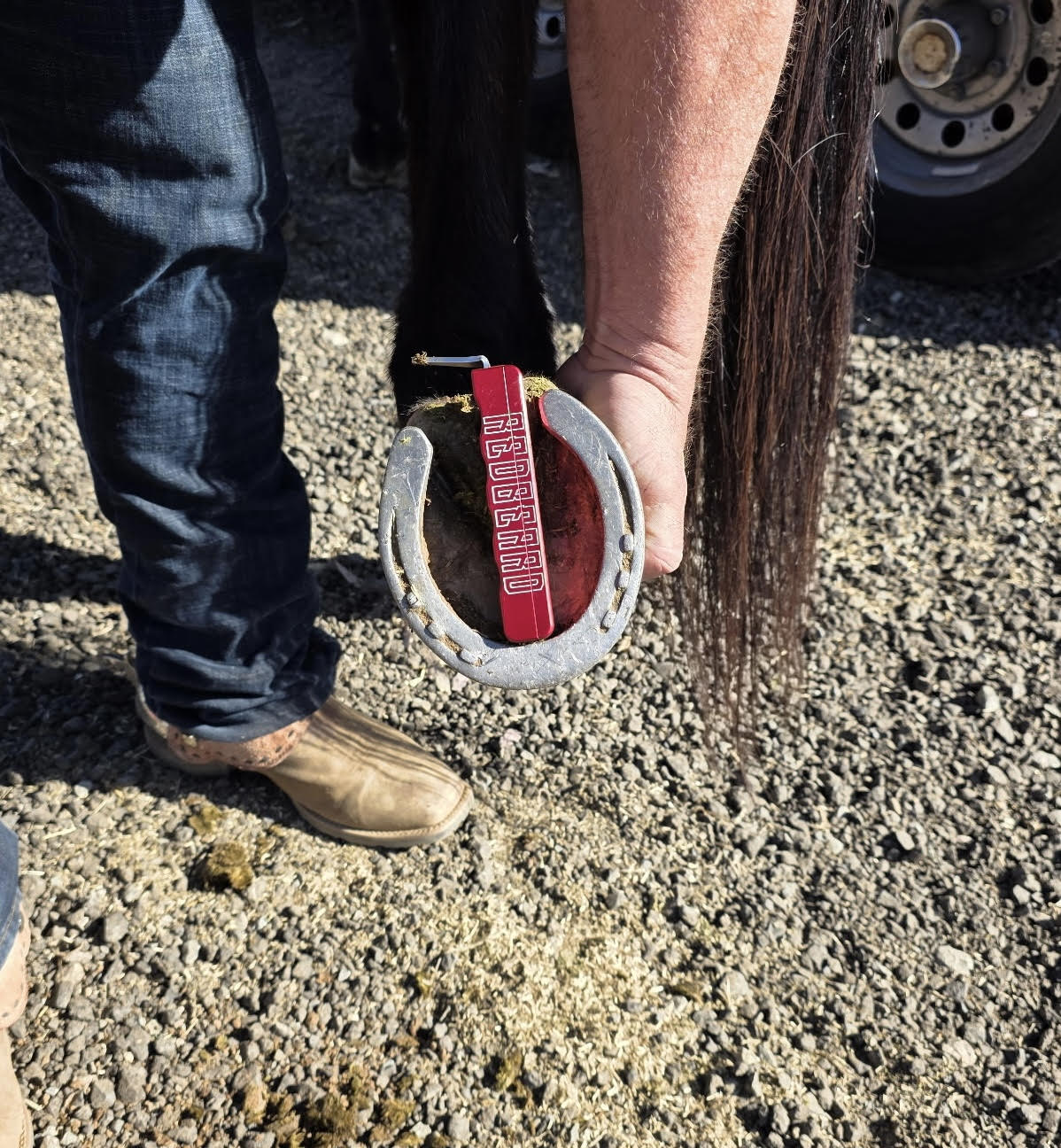 Custom Hoof Pick
